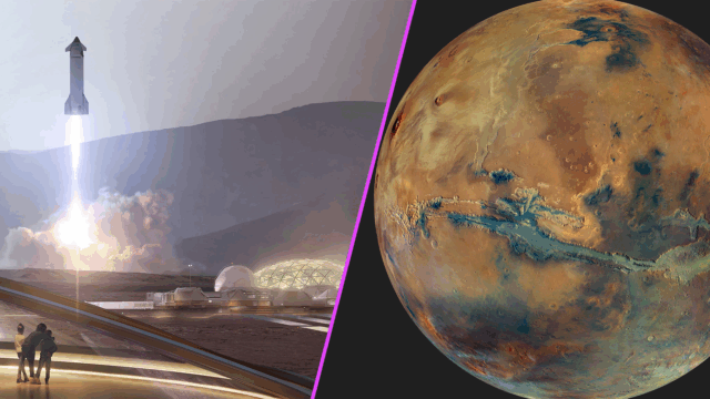 Aufbruch zum Mars, Marssiedlung